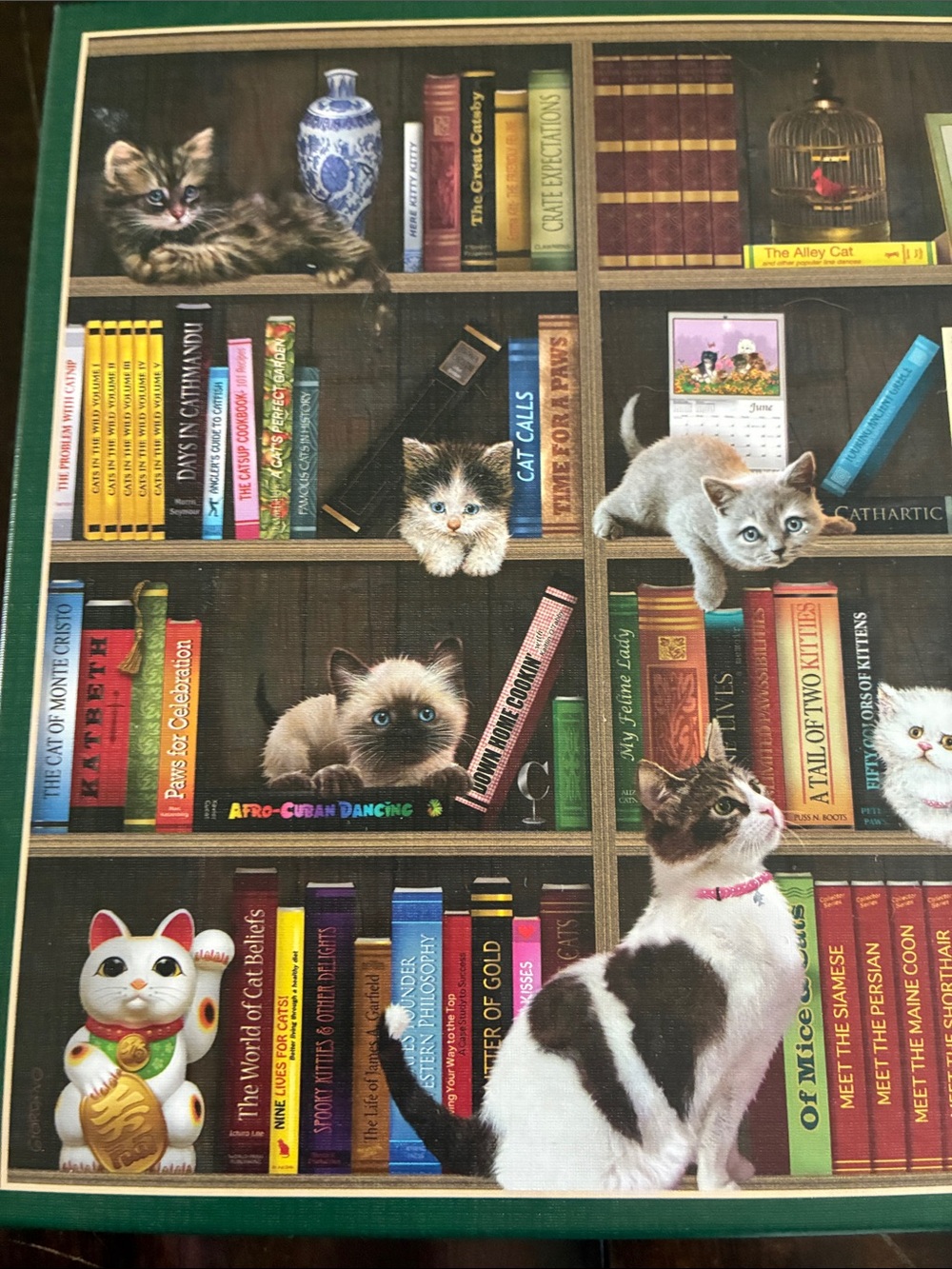 Cobble Hill Kitty Librarians 1000 Piece Cat Jigsaw Puzzle Poster Included - Picture 3 of 7